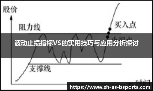 波动止损指标VS的实用技巧与应用分析探讨