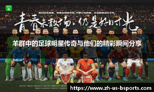 羊群中的足球明星传奇与他们的精彩瞬间分享